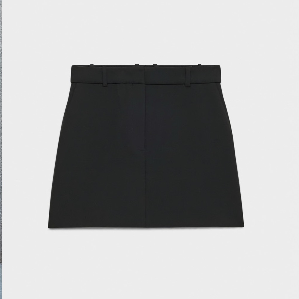 NWT- Aritzia Skirt